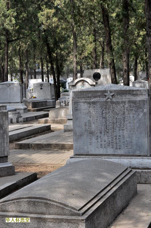 如何安慰死者的家属和亲人