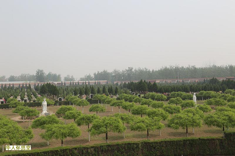 如何订阅北京树葬墓地