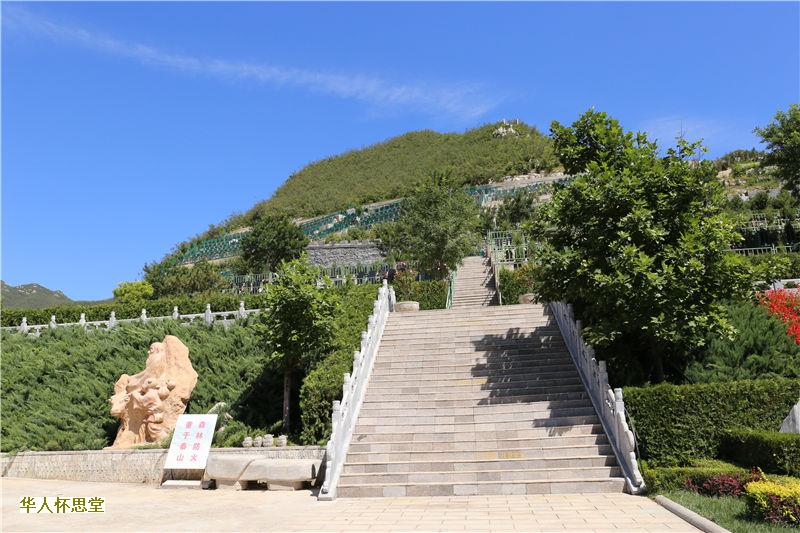 骨灰安葬程序有哪些?有什么注意事项?