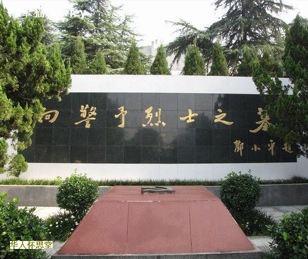 坟头上长竹子能不能砍