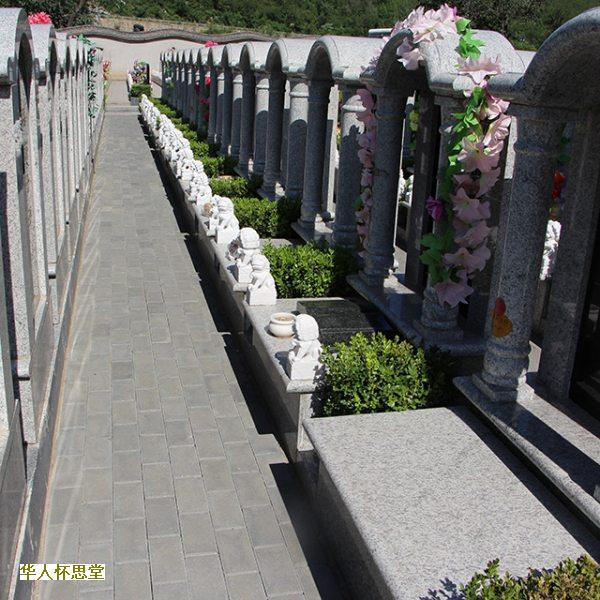 新坟地怎么看出好风水